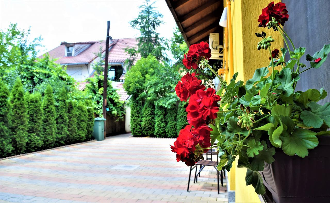 House Apartment Minerilor Cluj-Napoca Exterior foto